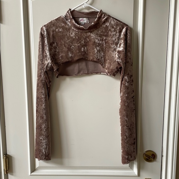 Free People Velvet Long Sleeve Crop Top - Picture 1 of 4